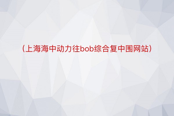 （上海海中动力往bob综合复中围网站）